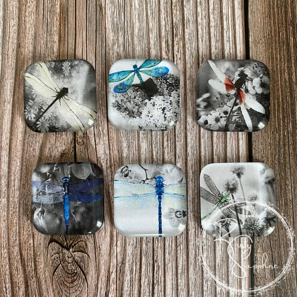 Dragonfly Inspired Set No. 1, Glass Tile Magnets Set of 6