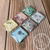 Colorful Dandelion Glass Tile Magnet Set of 6