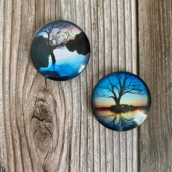 Sunsets and Trees Circle Glass Tile Magnets Set of 2, 1.5 inch